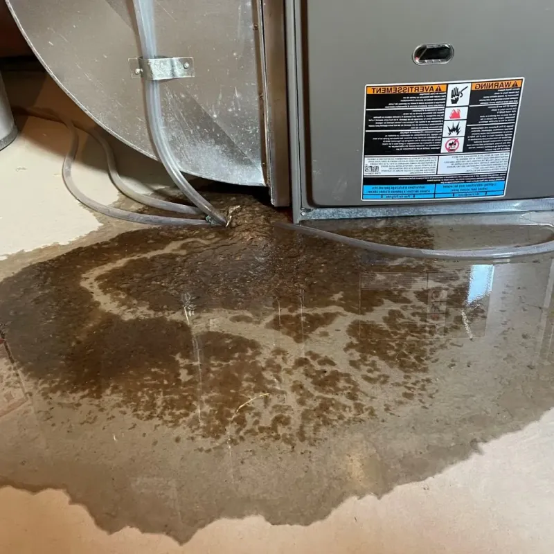 Pipe Burst and Leak Restoration in Wakefield, NE